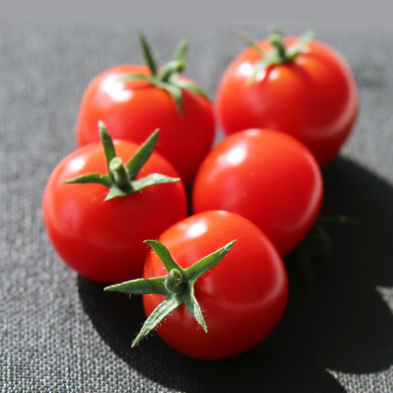 乐鱼(中国电子)·LEYU官方网站