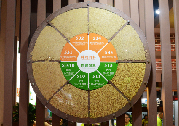 乐鱼(中国电子)·LEYU官方网站