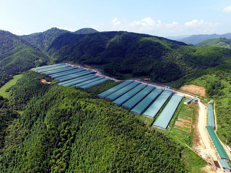 乐鱼(中国电子)·LEYU官方网站