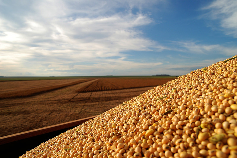 乐鱼(中国电子)·LEYU官方网站