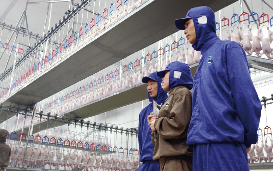 乐鱼(中国电子)·LEYU官方网站