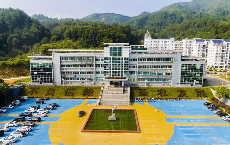 乐鱼(中国电子)·LEYU官方网站