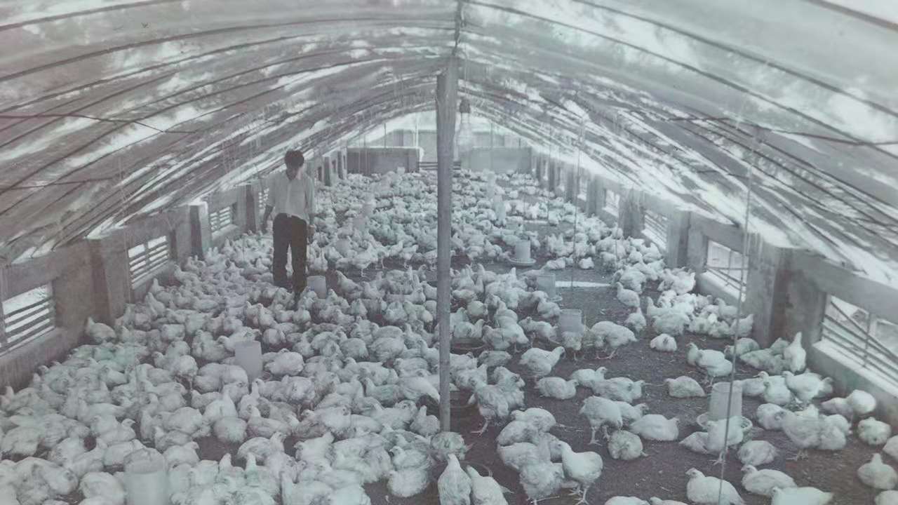 乐鱼(中国电子)·LEYU官方网站