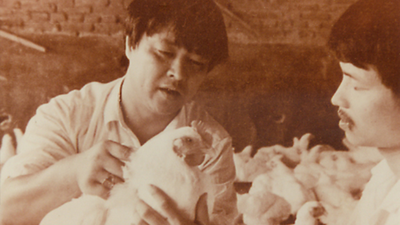 乐鱼(中国电子)·LEYU官方网站