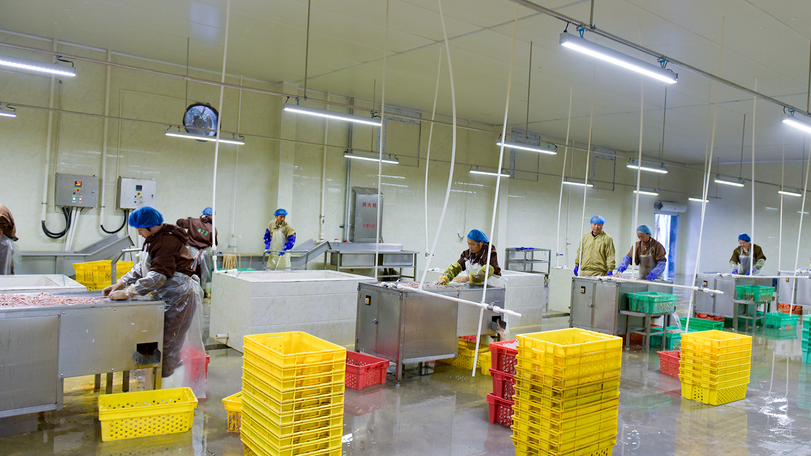 乐鱼(中国电子)·LEYU官方网站