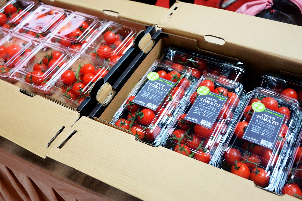 乐鱼(中国电子)·LEYU官方网站