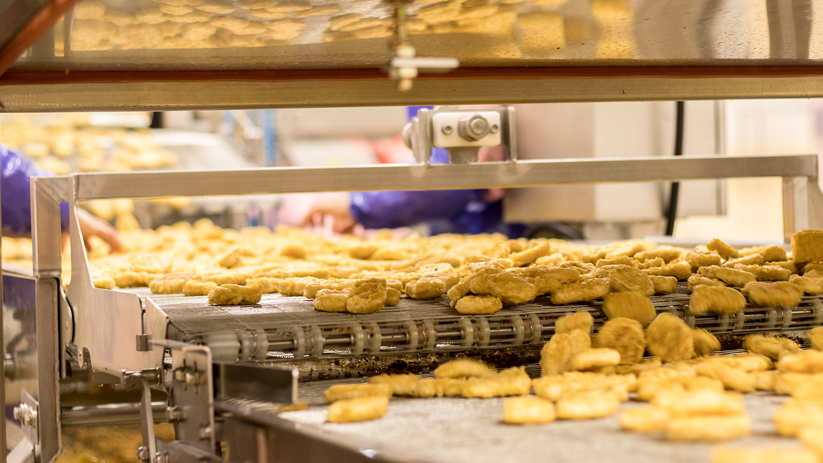 乐鱼(中国电子)·LEYU官方网站