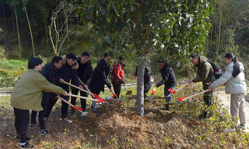 乐鱼(中国电子)·LEYU官方网站