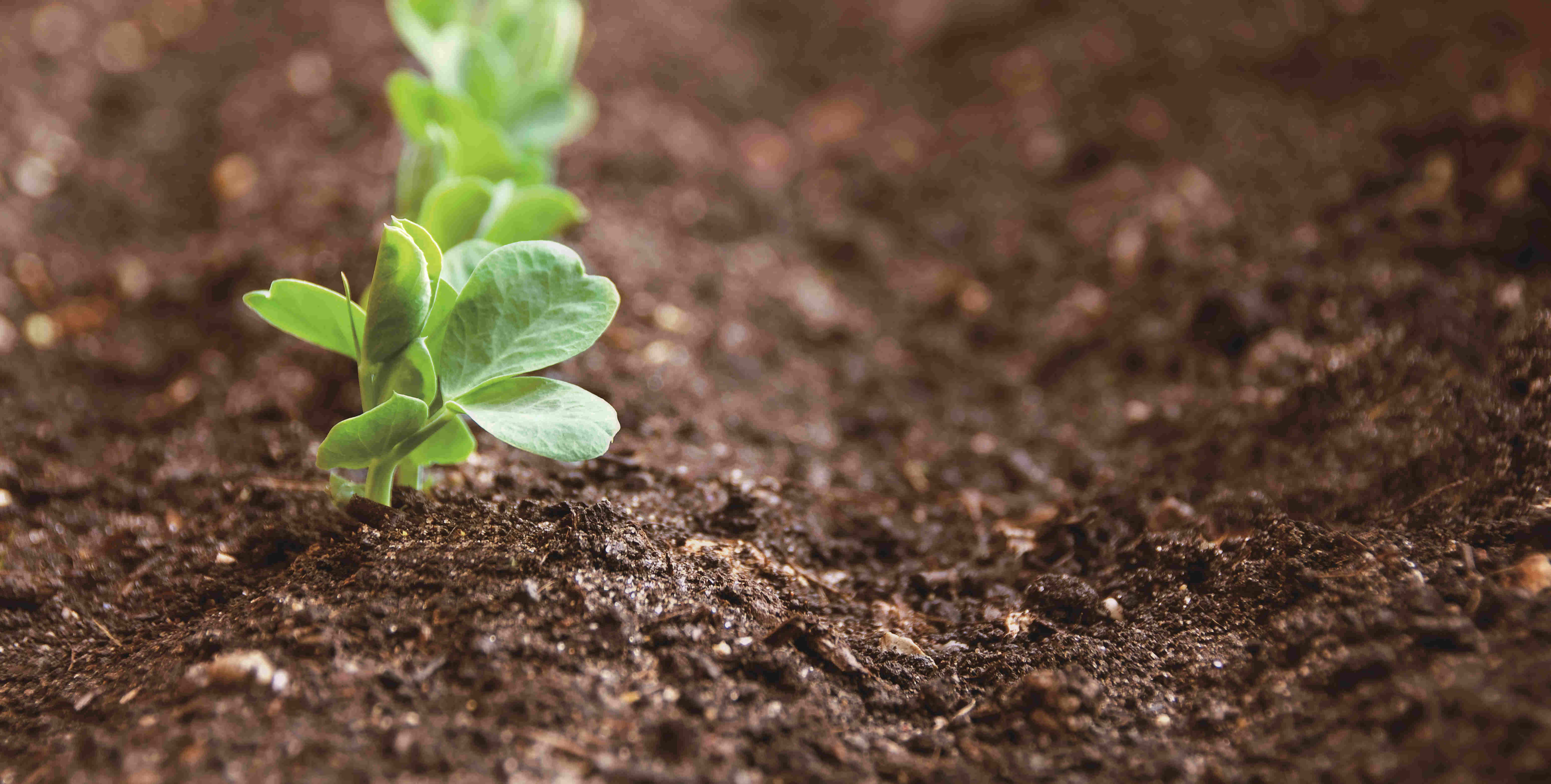 乐鱼(中国电子)·LEYU官方网站