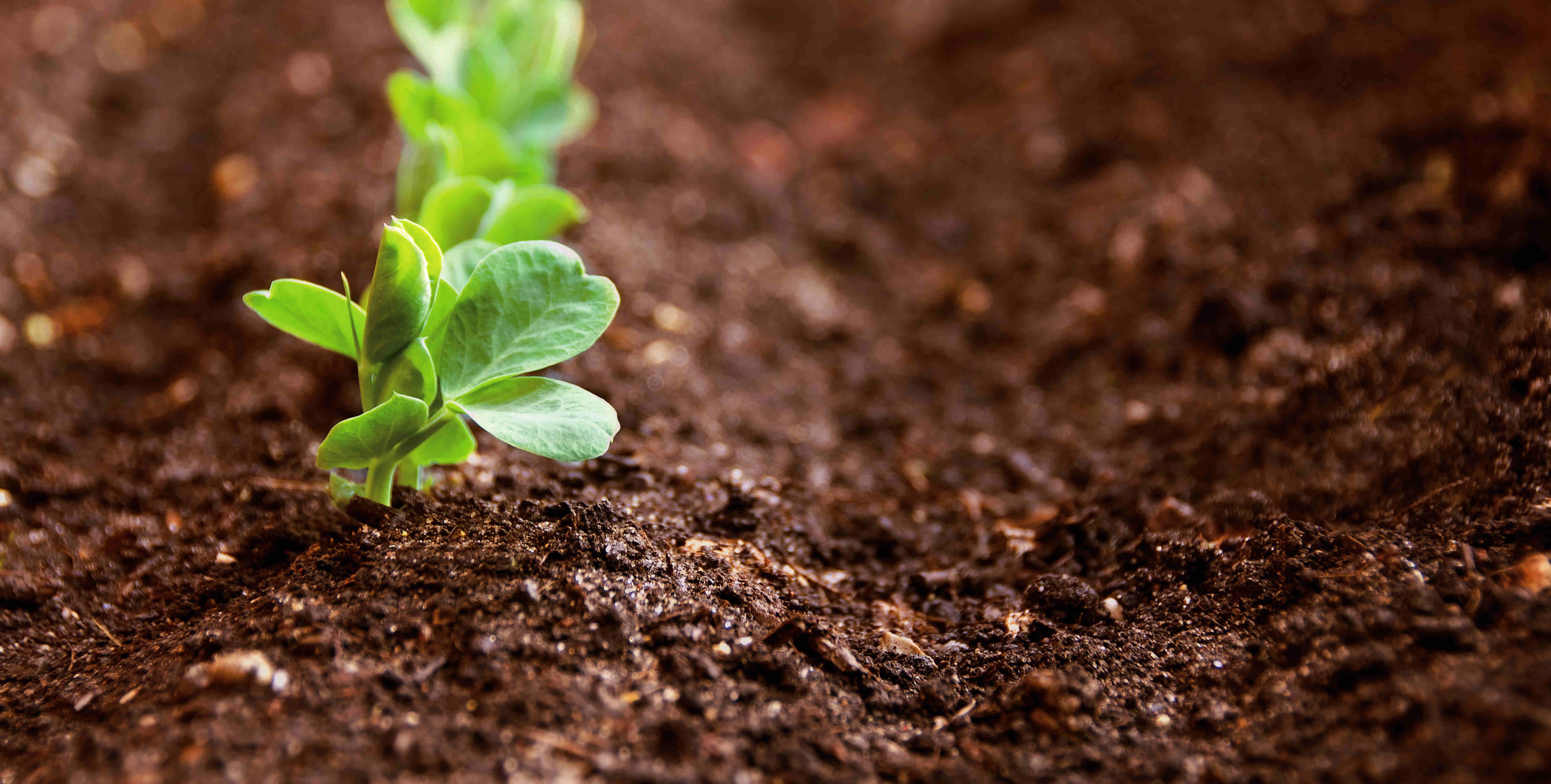 乐鱼(中国电子)·LEYU官方网站