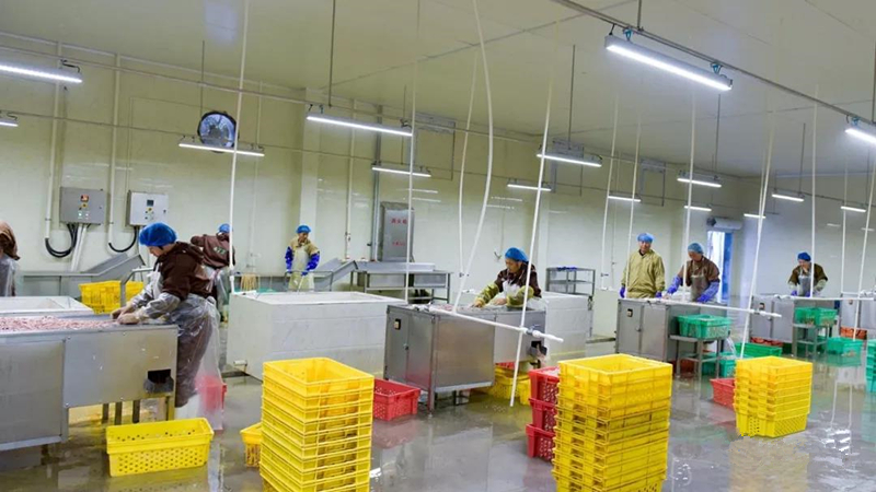 乐鱼(中国电子)·LEYU官方网站