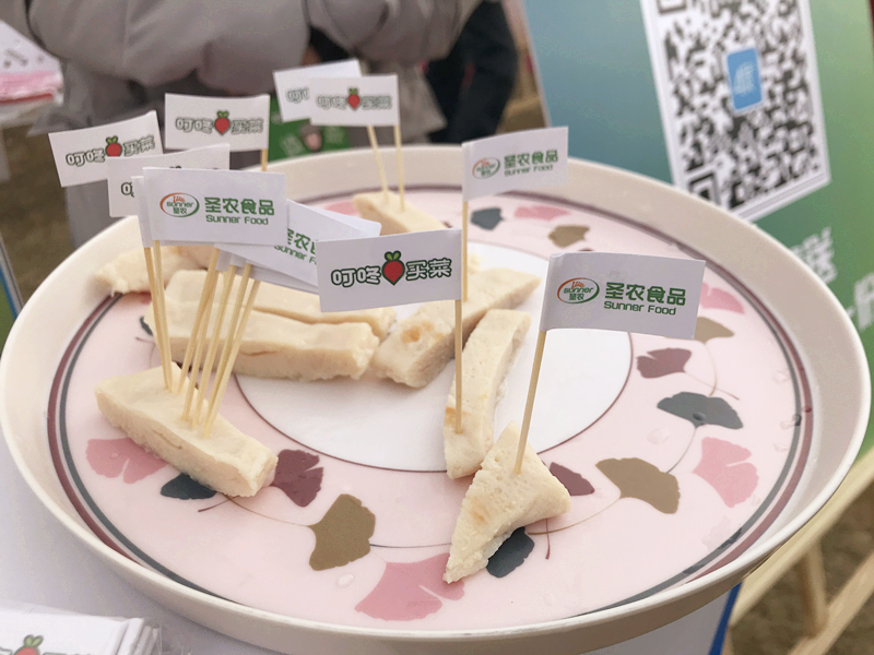 乐鱼(中国电子)·LEYU官方网站