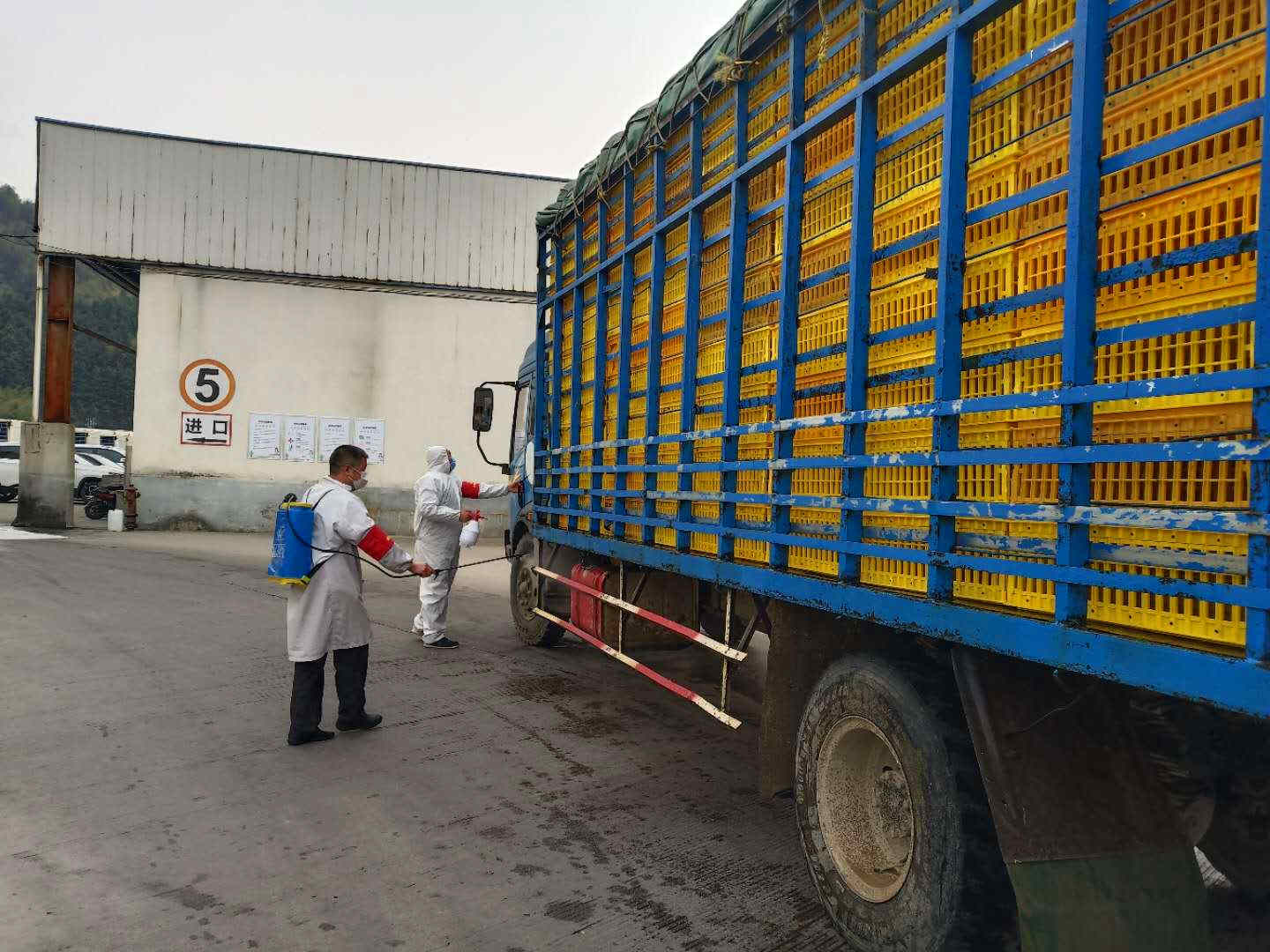 乐鱼(中国电子)·LEYU官方网站