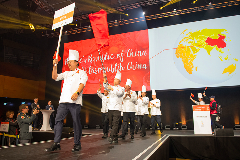 乐鱼(中国电子)·LEYU官方网站