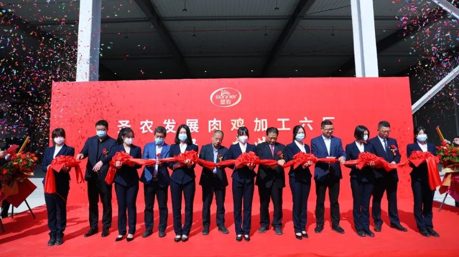 乐鱼(中国电子)·LEYU官方网站